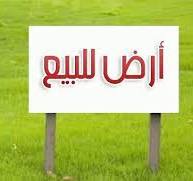 للبيع بيت عربي(شعبي) بالشارقة تقع في منطقة النوف(...